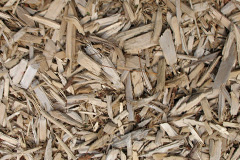 biomass boilers Carragraich